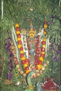 kanakadurga-as-shakambari-mata1