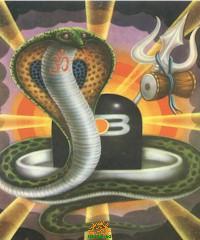 Nag Panchami Serpent God Sanke God